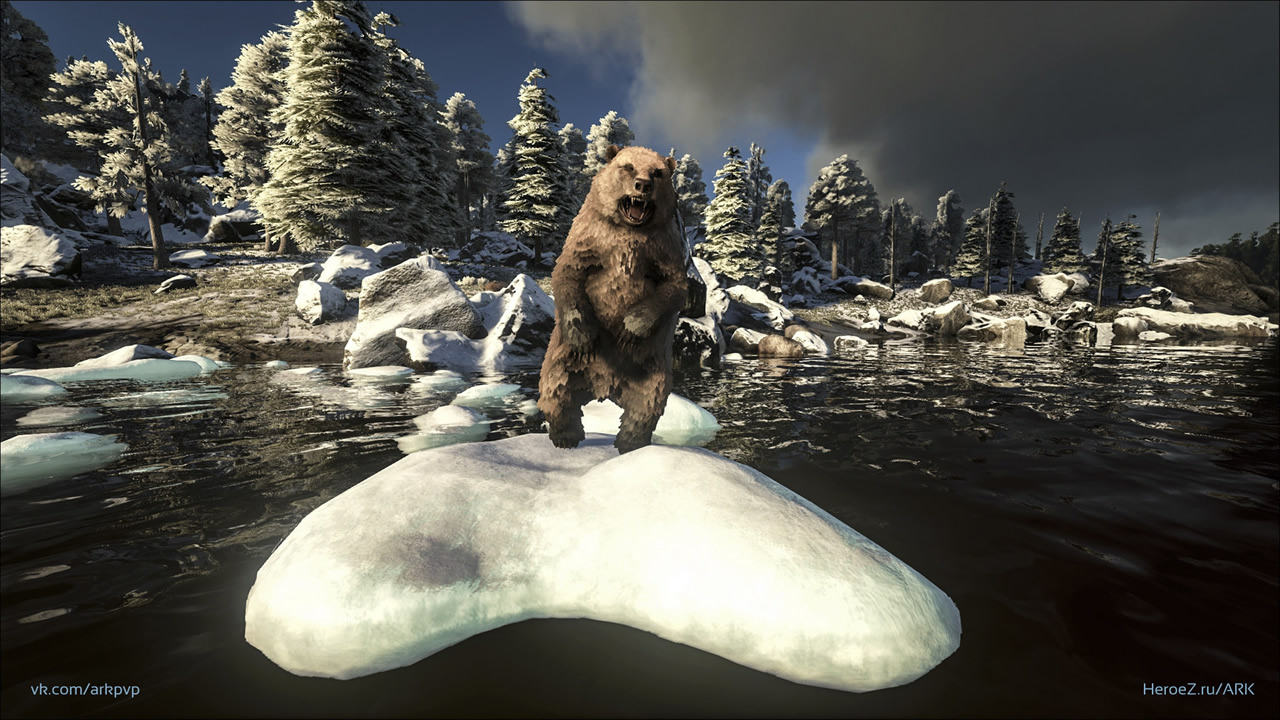 Свирепый медведь (Короткомордый медведь) / Dire Bear (Direbear)