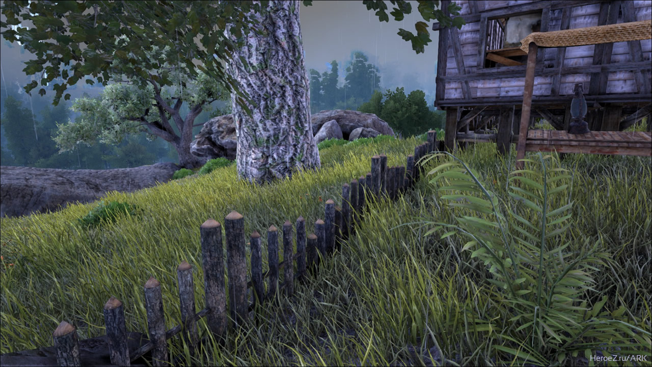 Primitive+